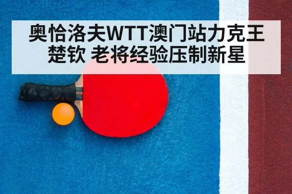 ping pong racket