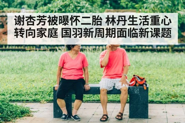 Lin Dan retired family life